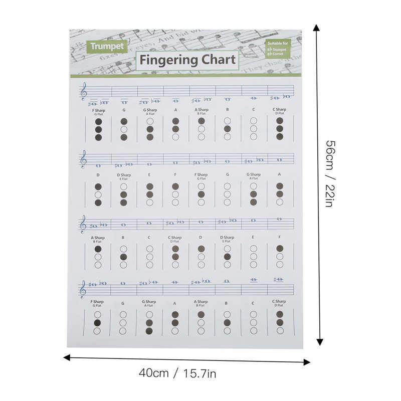 Trumpet Chord Reference Chart Trumpet Fingering Chart Trumpet Chord Chart Fingering Note Music Instrument Reference Guide: Large