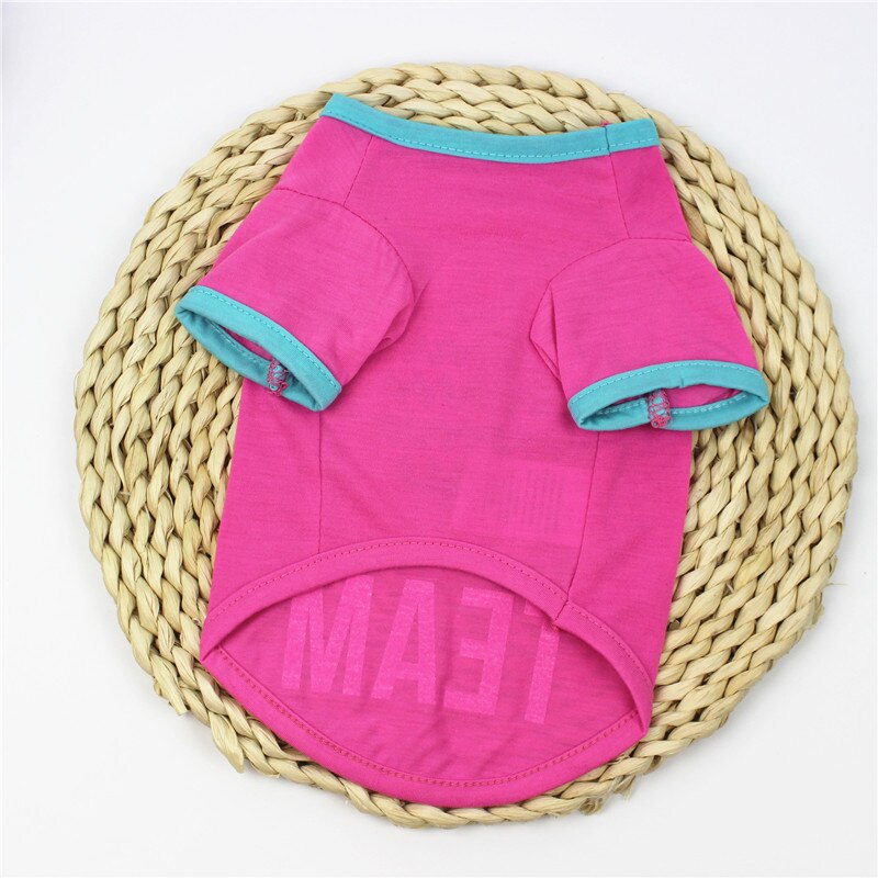 Spring/summer pet clothes Easter egg cat dog clothes.