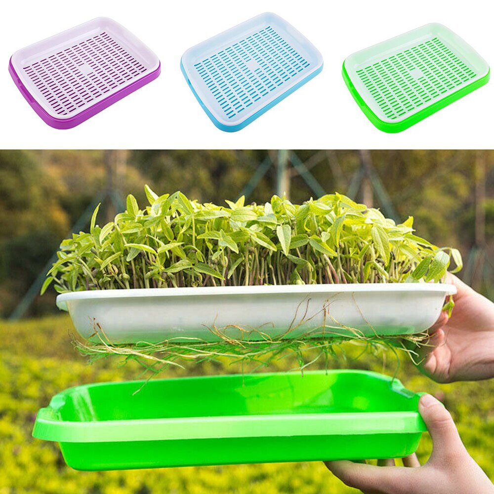 Plateau de Germination de graines 2 couches | Plateau de Germination de graines, Kit de semis de Micro verts, plateau de plantation + fond de