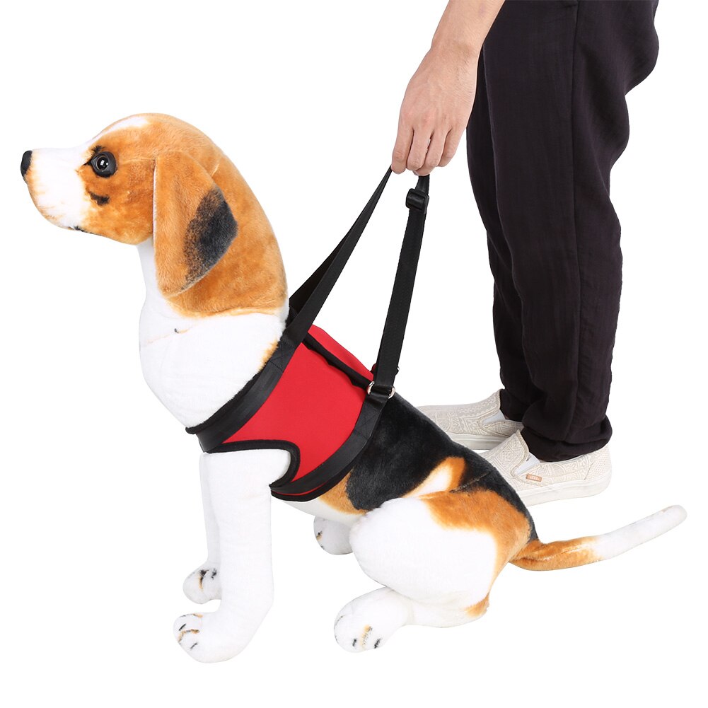Avant arrière jambes chien ascenseur assistance soutien harnais pieds queue Support marche aide gilet pour chien aider personnes âgées malades blessés chien animal de compagnie