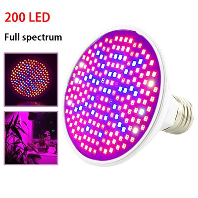 36 200 LED plante poussent lumière spectre complet rouge bleu lampe ampoule Clip pour salle intérieure tente fleur graines veg serre hydro: 200LED full spectrum / bulb and single clip / US plug