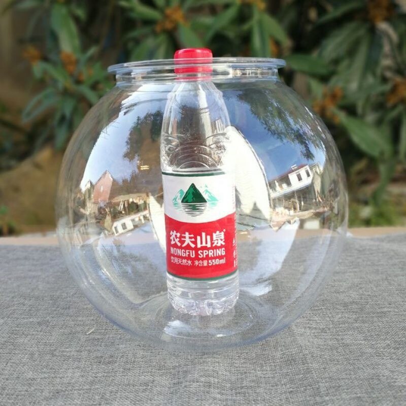 Aquarium rond en plastique Transparent pour poissons rouges, en acrylique, plante verte, nouveauté
