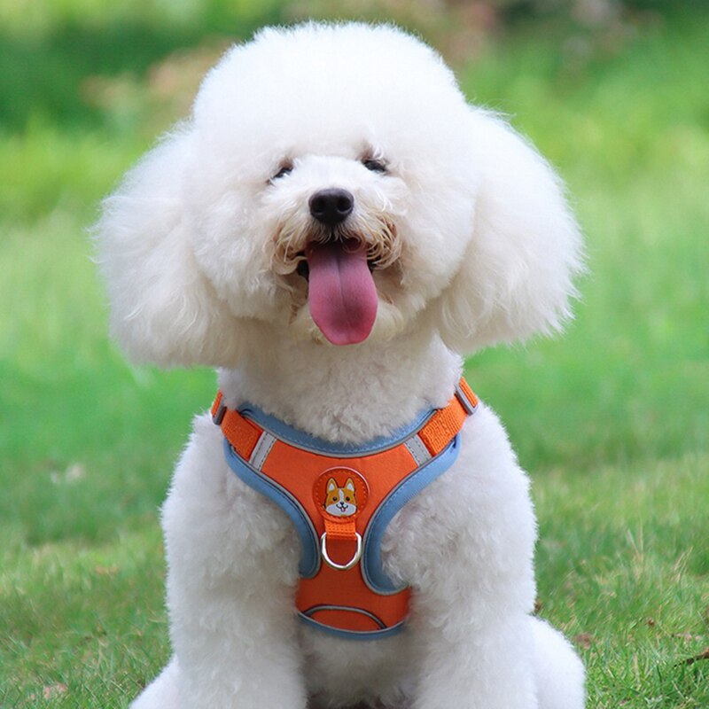 Breathable Small Dog Harness And Leash Cloth Safety Mesh Chest Strap Collar For Kitten Cat Chihuahua Pug Bulldog Cats Vest