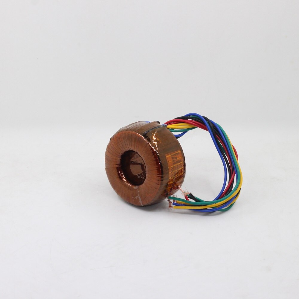 50W Toroidal Transformer Dual 220V 6.3V