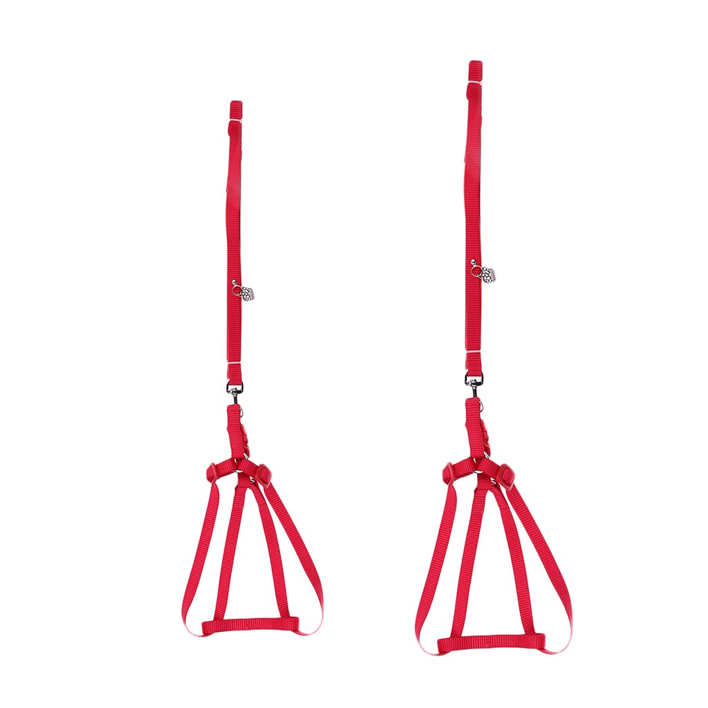 Reptile Lizard Gecko Bearded Dragon Harness And Leash Adjustable Light Anti-bite