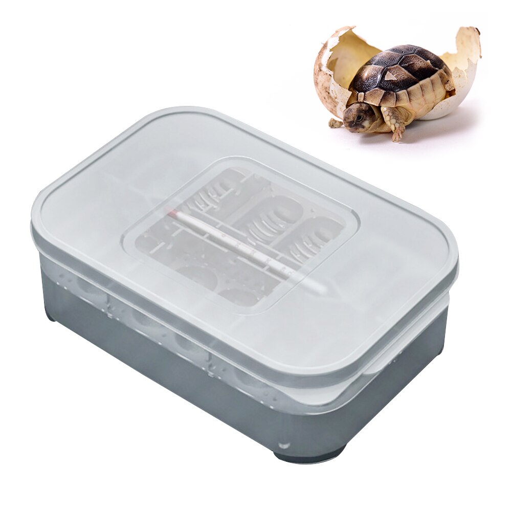 Caja incubadora PP de huevos para incubar en casa con termómetro pequeño para escalar, mascotas, lagartijas, tortugas, pájaros, crianza de reptiles