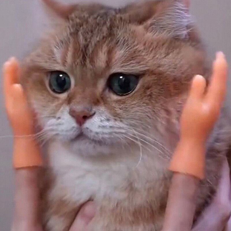 Guantes de dedo pequeño de juguete de masaje, mano humana falsa para gato, accesorios de broma