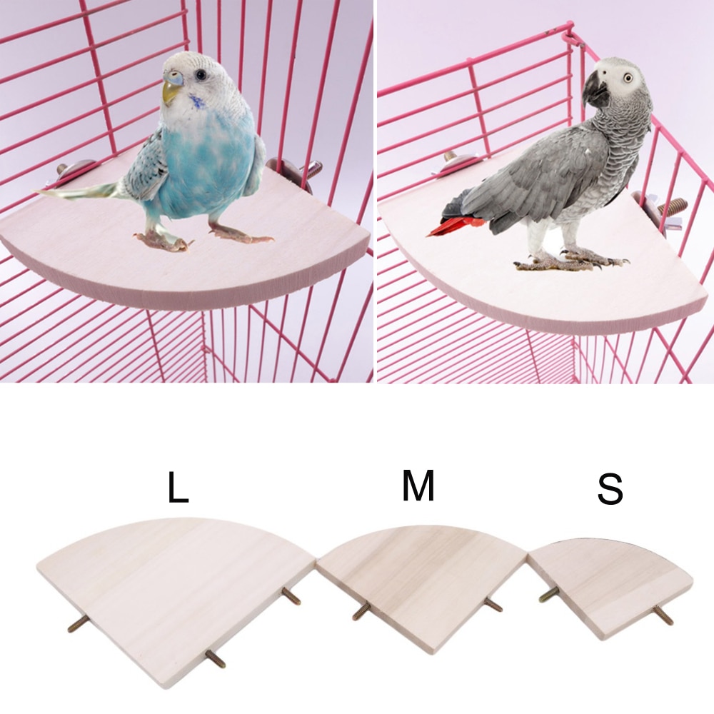 Support en bois en forme d'éventail pour perroquets et oiseaux, accessoires pour Cage à oiseaux, perche pour petit Animal, Chinchilla, écureuil et Hamster