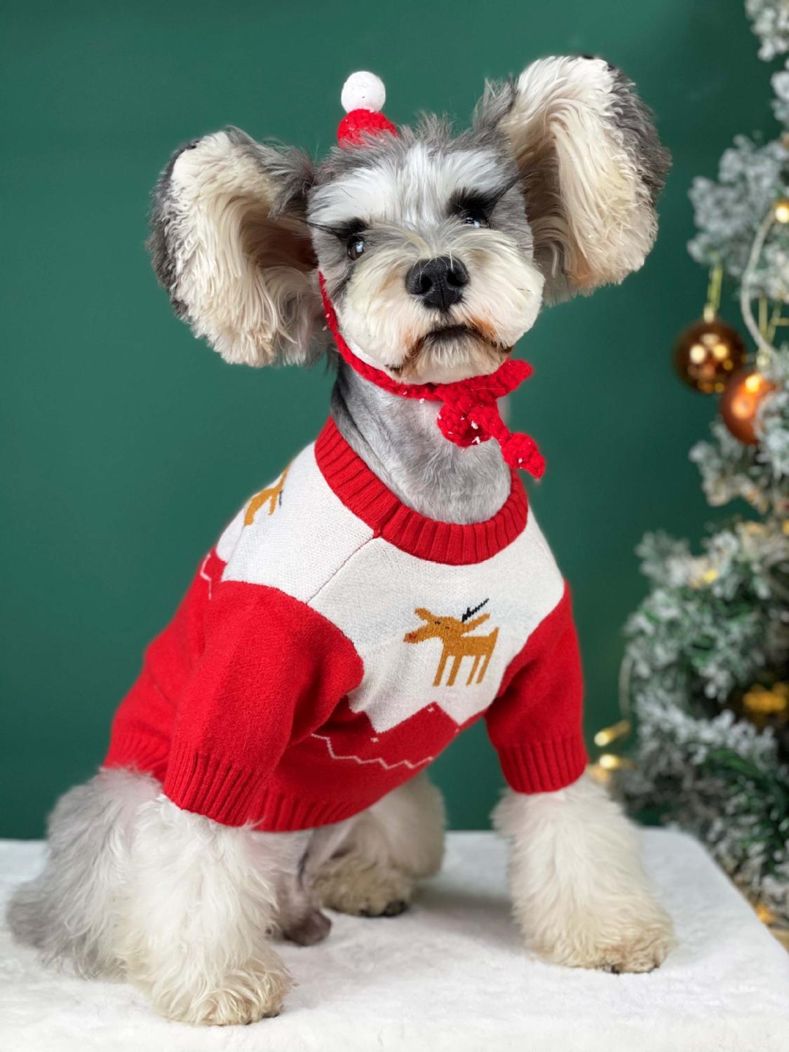 Pet Dog Cat Christmas Red & Green Sweater Jumper Clothes Winter Warm Puppy Hoodie for Small Medium Dogs Schnauzer Jacket Coat: Red / XL