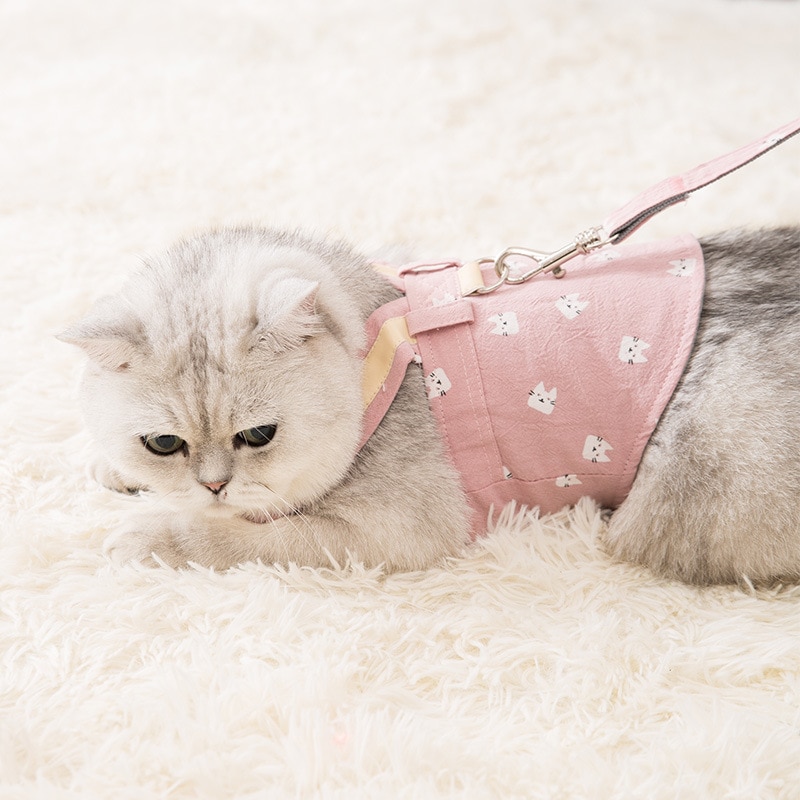 Cute Pet Cat Harness Leash Set Pet Chest Strap Breathable Pet Walking Rope For Kitten Cats Pet Vest Harness Rope Cat Leash