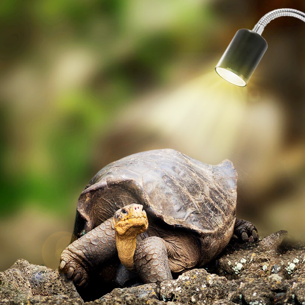 UVA UVB Reptile Lamp Set Lamp Clip-on Bulb Lamp Holder Full Spectrum Sun Spotlight Turtle Tortoises Basking Lamp Heat light Kit