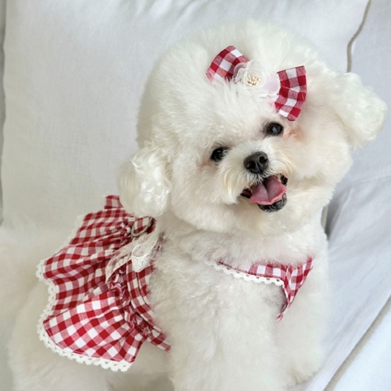 Pet Garden Style Retro prinsessenjurk Rode geruite hondenjurk met borst en rug kan worden getrokken en kleine huisdierjurk voor de zomer: XL