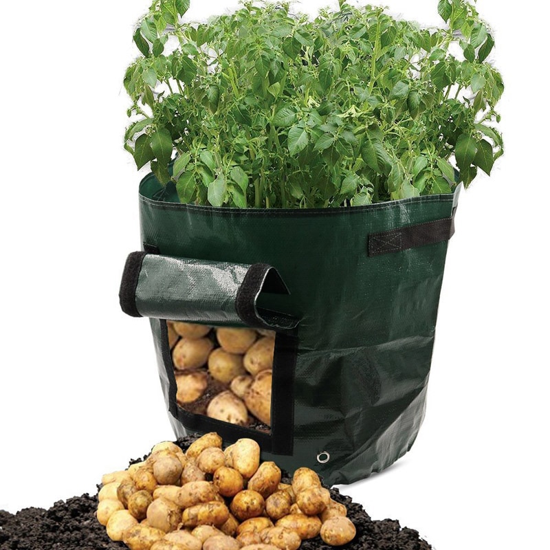 Diy Potato Grow Bag Voor Planter Pe Doek Planten Plantaardige Tuinieren Plantaardige Pot Paddestoel Groeien Container Tuin Gebruik Groen