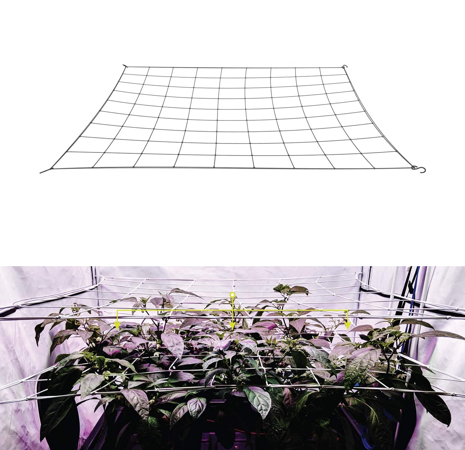 Filet en treillis pour tente de culture, support de plante, élastique, ScrOG, LST, HST, boîte de culture avec crochets, kit d'entraînement à faible souligné, 4 en effet