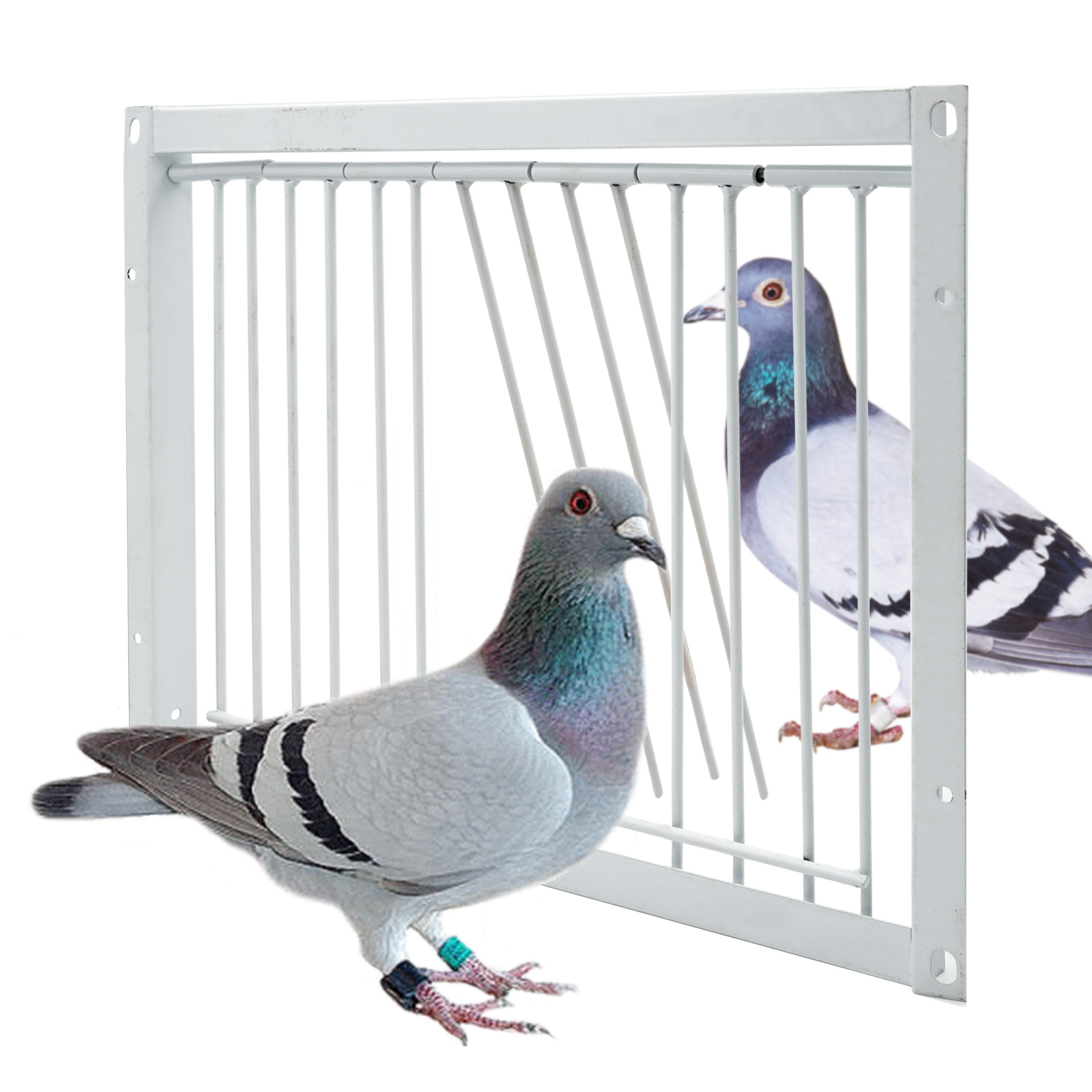 Pigeon Door Metal Wire Bars Frame Entrance Trapping Doors Loft Animal Birds Supplies Catching Bar Entry Curtain Removable