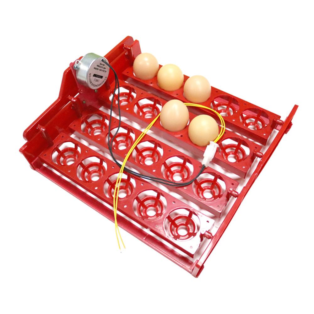 Incubadora de 20 huevos, bandeja giratoria para huevos, pollo, pájaro, pato, ganso, paloma, codorniz, incubadora automática, equipo incubadora de aves de corral y animales de granja