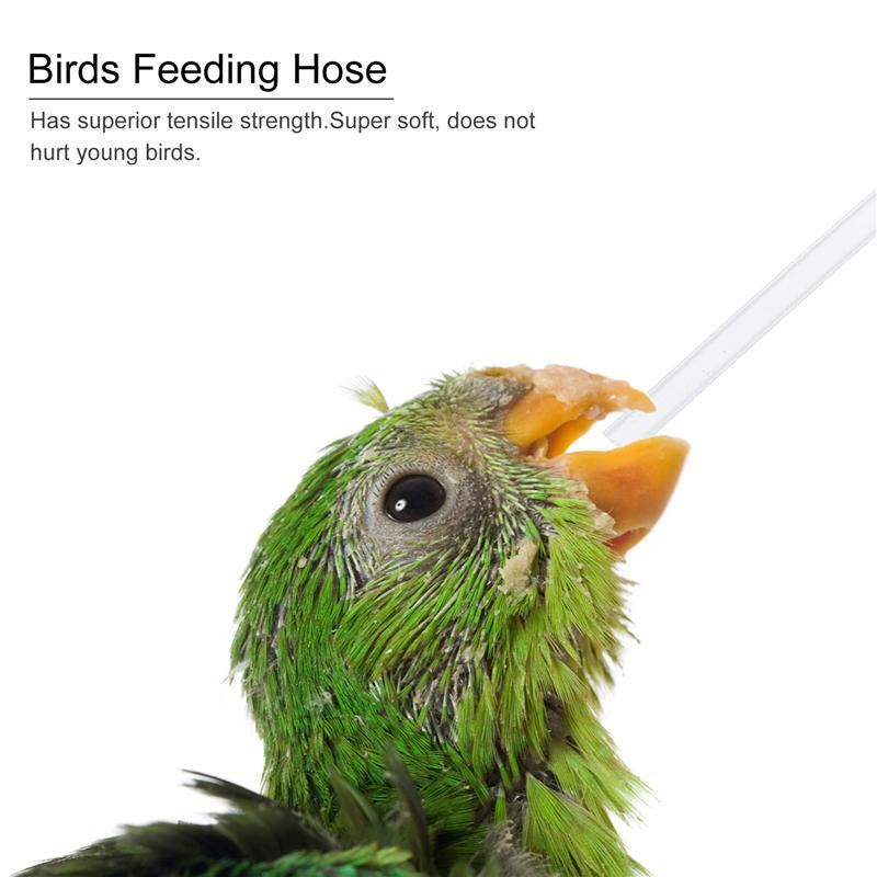 3Pcs Slang Jonge Vogels Voeden Tool Voeden Geneeskunde Buizen Plastic Baby Vogel Voeden Slang Voor Huisdier Vogel Papegaai Feeder willekeurige Kleur