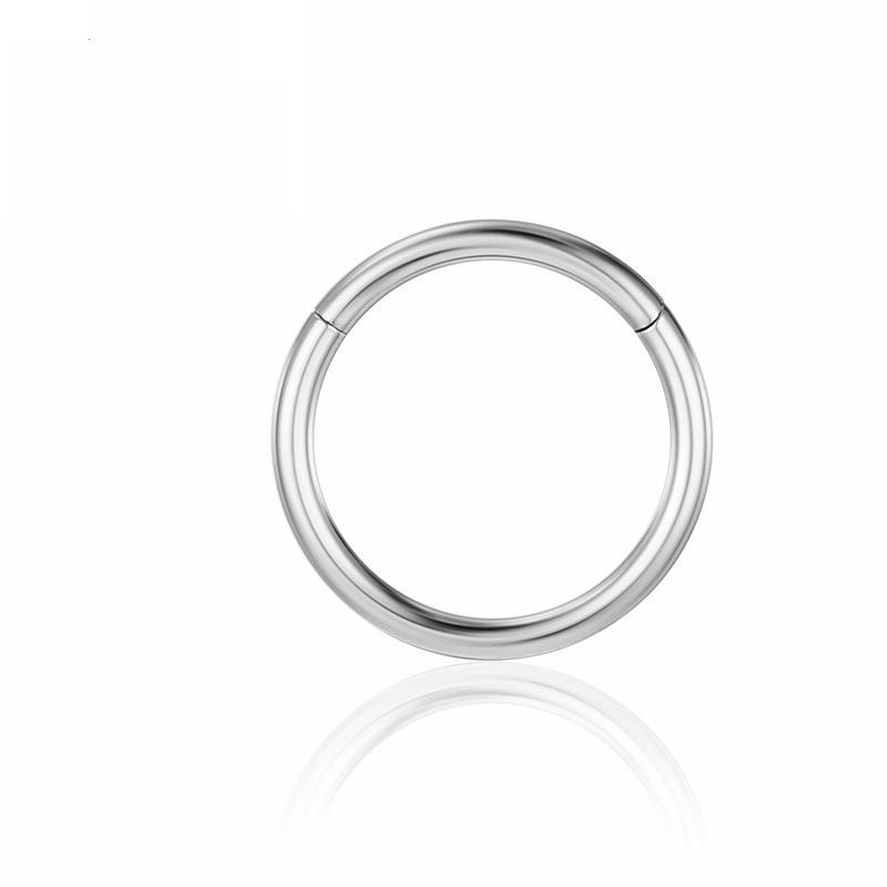 6/8/10mm Nose Ring Hinged Clicker Segment Nose Rings Helix Cartilage Septum Hoop Surgical Stainless Steel Seamless Earrings: PURPLE / Gold-color