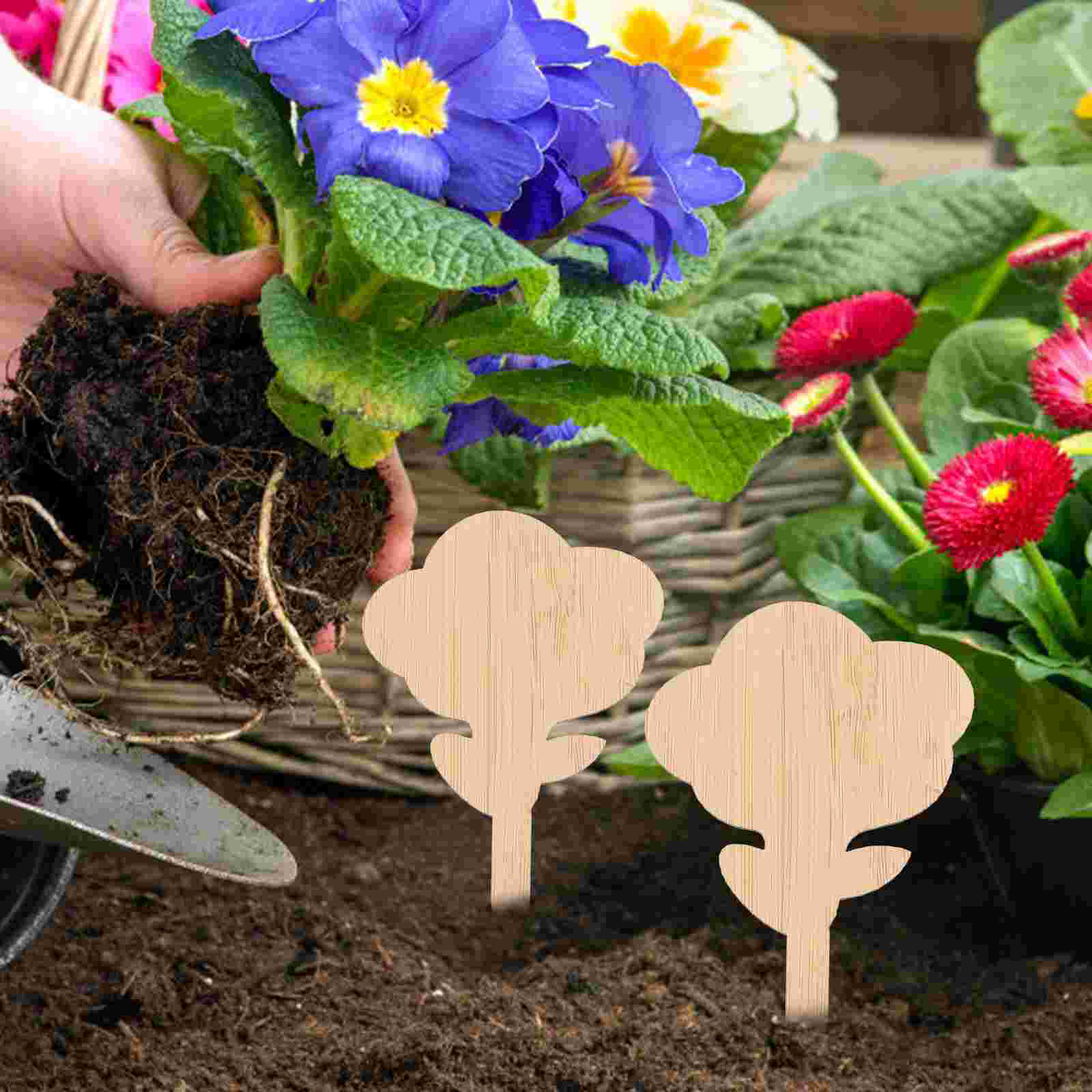 1 Set Van Bamboe Plant Labels Bloem Bed Inserts Tuin Planten Bloemen Etiketten