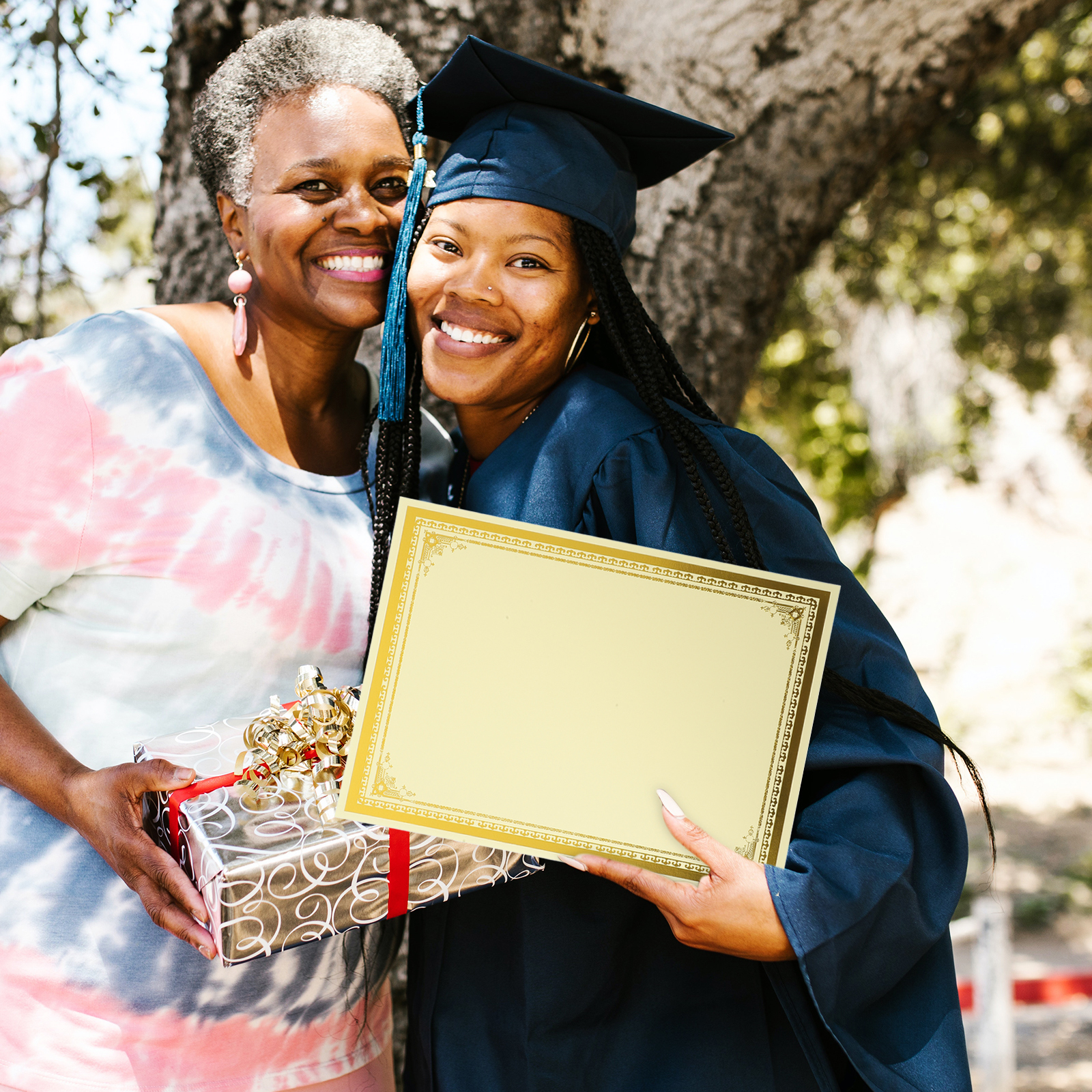 10 hojas de cubierta de certificado de diploma en blanco, papel de estampado en plateado para uso doméstico, marco de documentos , premio de graduación