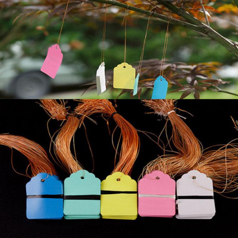 100pcs Plants Hang Tag Labels And Brands Seedling Garden Flower Pot Plastic Tag Number Plate Hanging Reusable