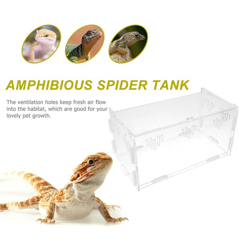 1pc Climbing Pet Feeding Box Sturdy Transparent Spider Tank Amphibious Animal Tank Tortoise Tank for Spider
