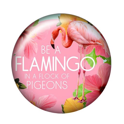 DB0570 Flamingo Vögel trendy 18mm snap tasten 10 stücke mischte runde foto glas cabochon stil für druckknopf schmuck: DB0570-I