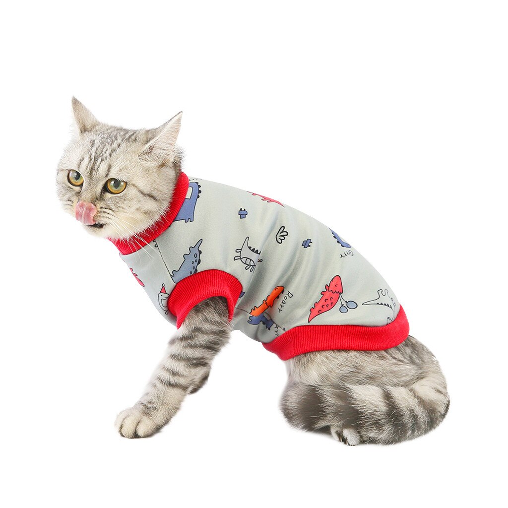 Pet clothing autumn and winter dog clothing winter cat milk silk sweater