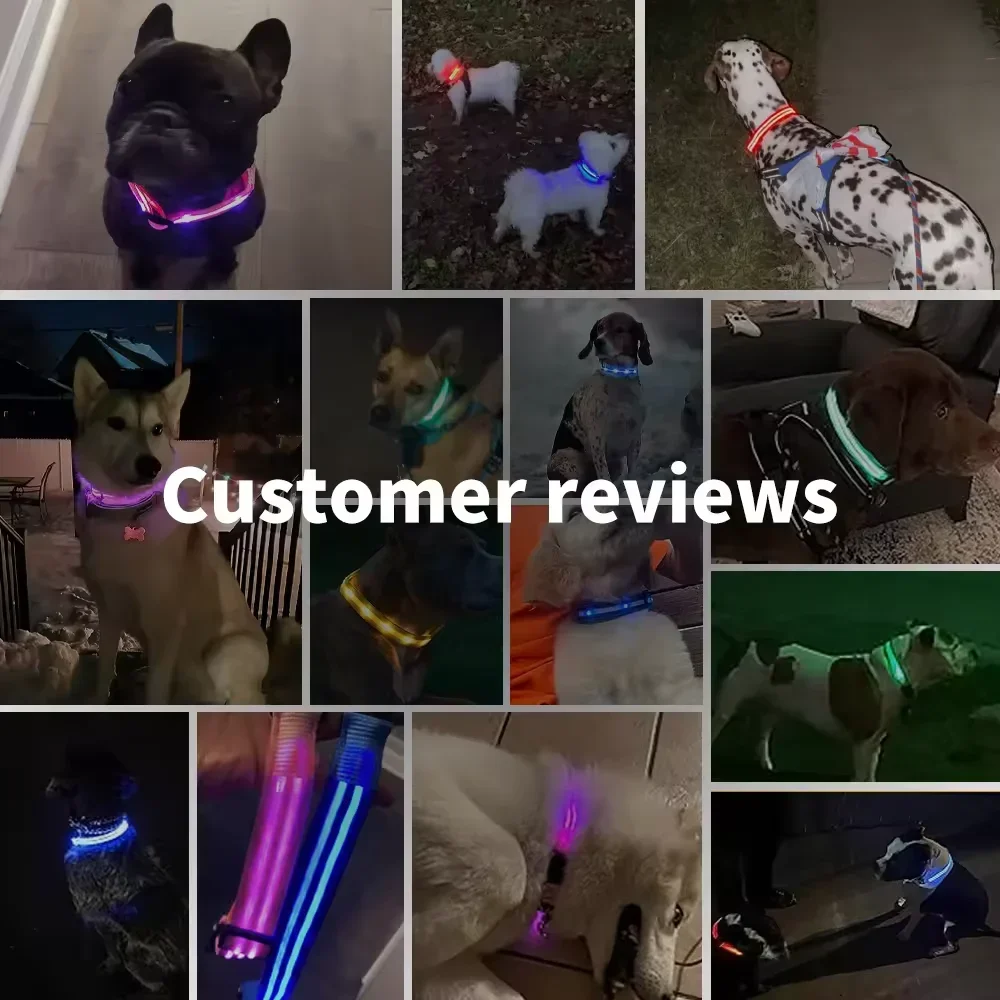 Led-glödande hundhalsband justerbart blinkande uppladdningsbart lysande halsband natt anti-förlorad hundsele för små hundar husdjursprodukter