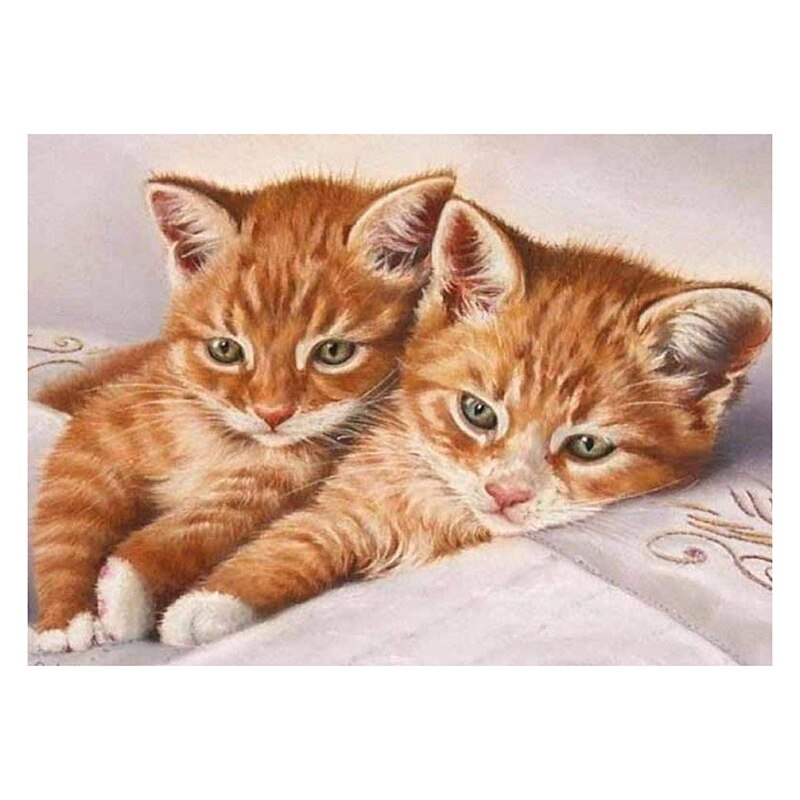 AAOTE DIY 5D Diamond Painting Kits voor Volwassenen Kids Beginners
