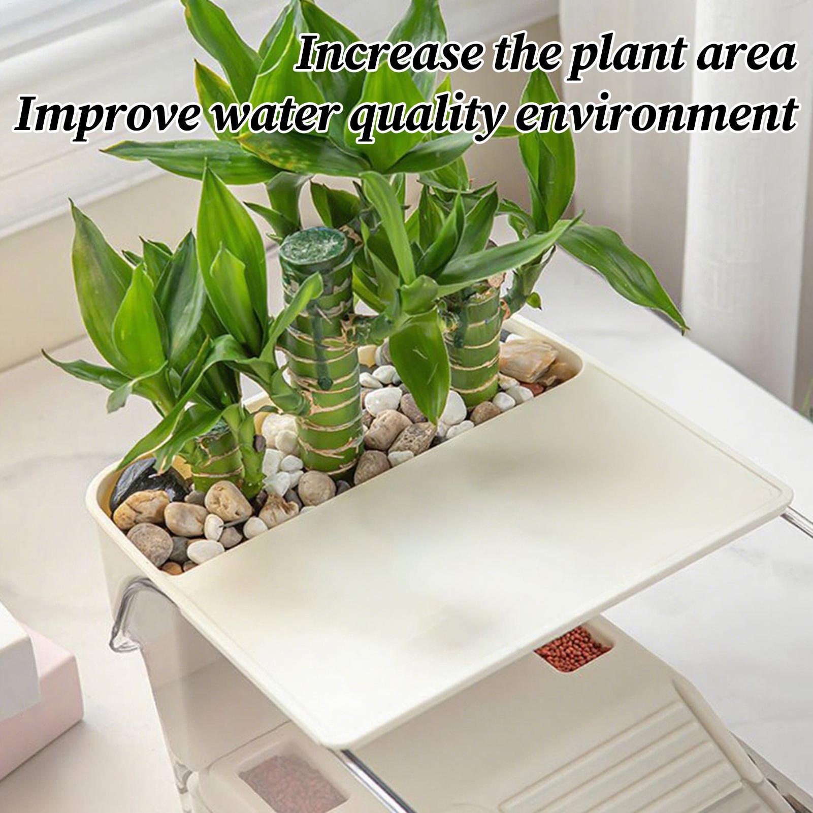 Schildpad Aquarium Multifunctioneel Aquarium Transparant Terrarium voor Rivierkreeft Heremietkreeften Kikker Reptiel Schildpad Habitat Zonnebaden