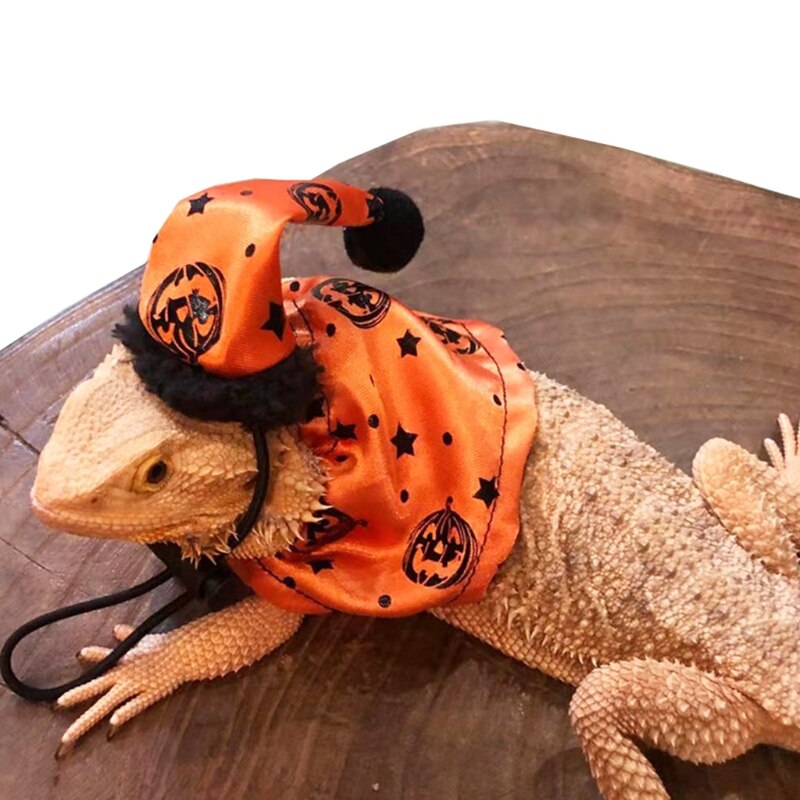 Conjunto de disfraz de lagarto ajustable, sombrero de Halloween de dragón barbudo y capa naranja con estampado de calabaza, suave y cómodo