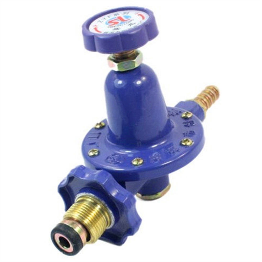 1 PC Replacement 1 Inlet 1 Outlet Liquefied LGP Gas Pressure Regulator Dark Blue
