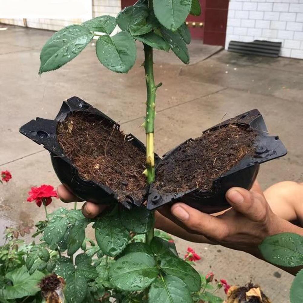 S/M/L Bola de enraizamiento para plantas, Caja de cultivo para injertos, caja de cría para jardín, bolsa de plástico para flores, caja de vivero