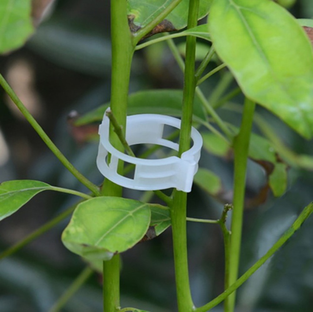 50PCS Durable 30mm Plastic Plant Support Clips For Types Plants Hanging ...