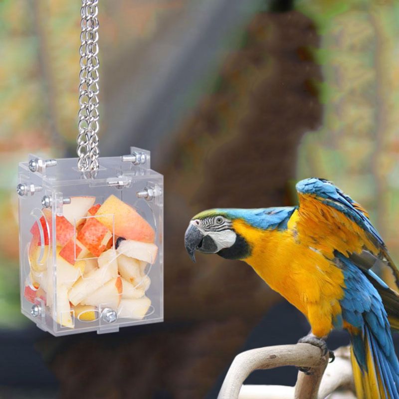 Papegøje foraging legetøjsfoder fugl intelligens træning bur akryl boks