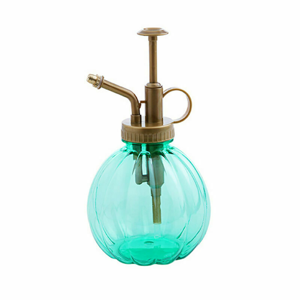 Mini brume pour plantes, bouteille d'eau avec pompe, petite bouteille d'arrosage, pot d'arrosage pour plantes et fleurs, maison et jardin