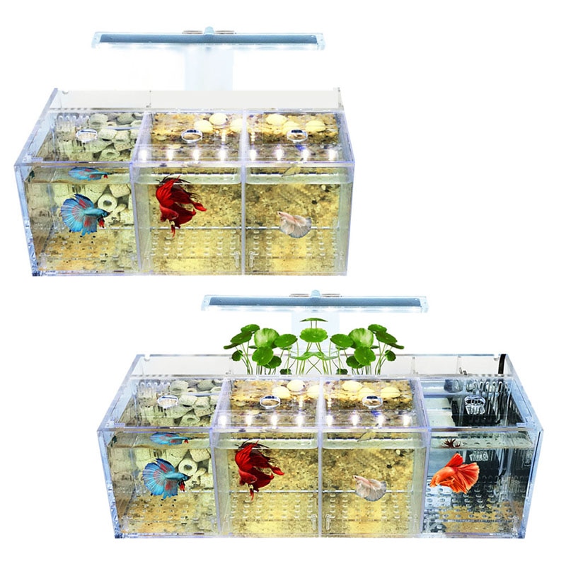 LED pour Aquarium acrylique Betta ensemble de réservoir de poisson Mini éclairage bureau pompe à eau filtres