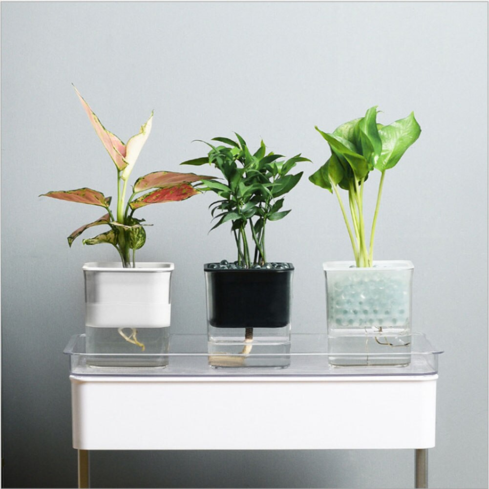 Lui Self-Watering Bloempot Automatische Wateropname Succulent Aquacultuur Transparante Ronde Plastic Hydrocultuur Bloempot