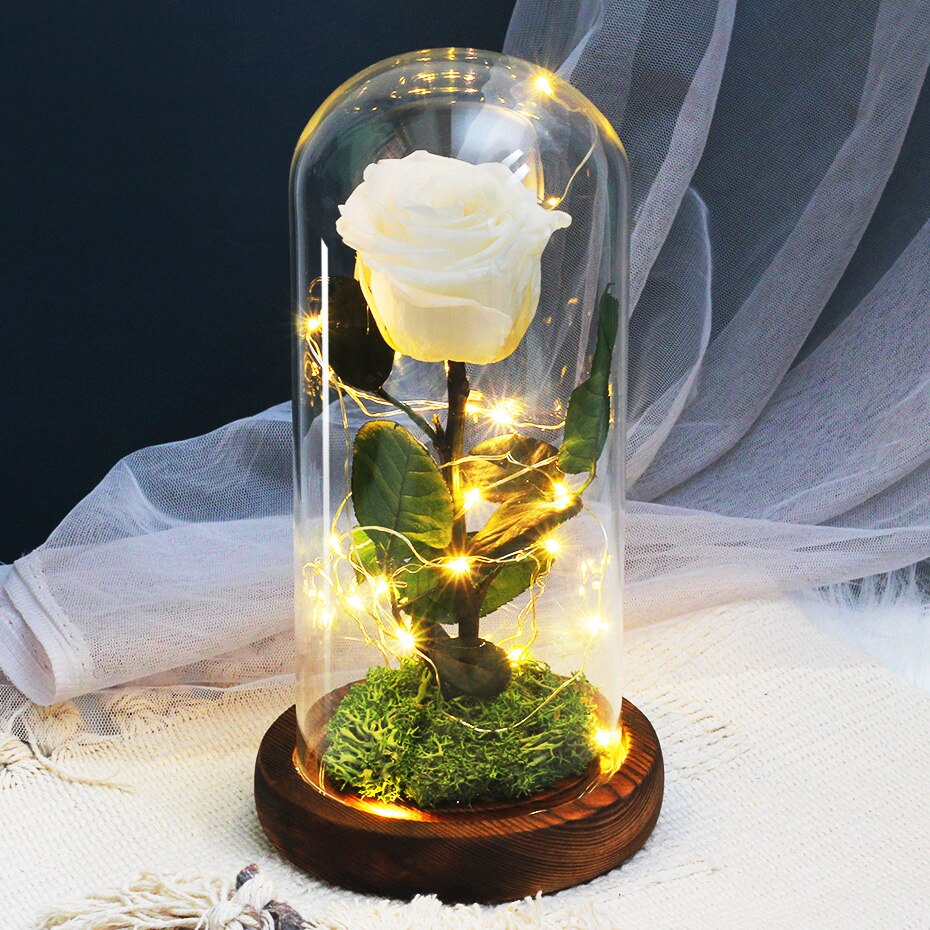 Torkade blommor konserverade rosor i glasskåpa med nattljus ornament bröllop alla hjärtans dag jul år heminredning