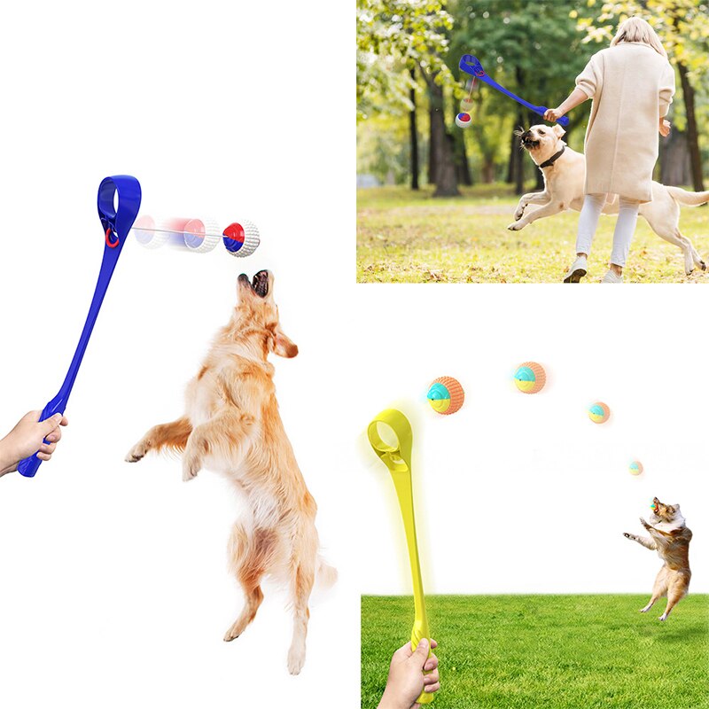 Draagbare Interactieve Hond Training Speelgoed Bal Huisdier Gooien Agility Speed Training Speelgoed Apparatuur Huisdier Gooien Stok Met Molaire Bal