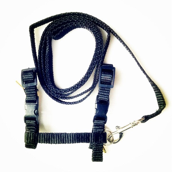 Huisdier kattenhalsband, harnas en riem, verstelbaar van nylon, huisdier tractie, honden- en kittenhalster, halsband voor katten, producten voor katten, huisdier harnas riem: Zwart