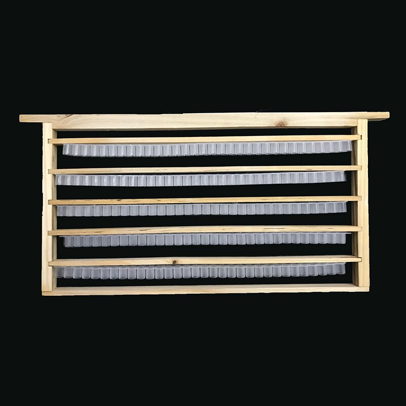 5pcs Royal jelly frame rearing queen bee cultivation Installation of double row royal jelly storage strip beekeeping tools: 5 set combinations