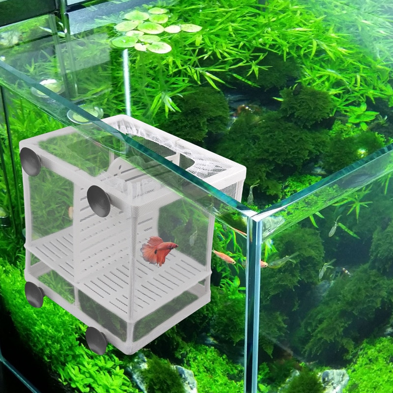 Aquarium Visteelt Doos Isolatie Mesh Doos Netto Met Zuignap Incubator Fokker Voor Aquarium Aquarium Accessoires