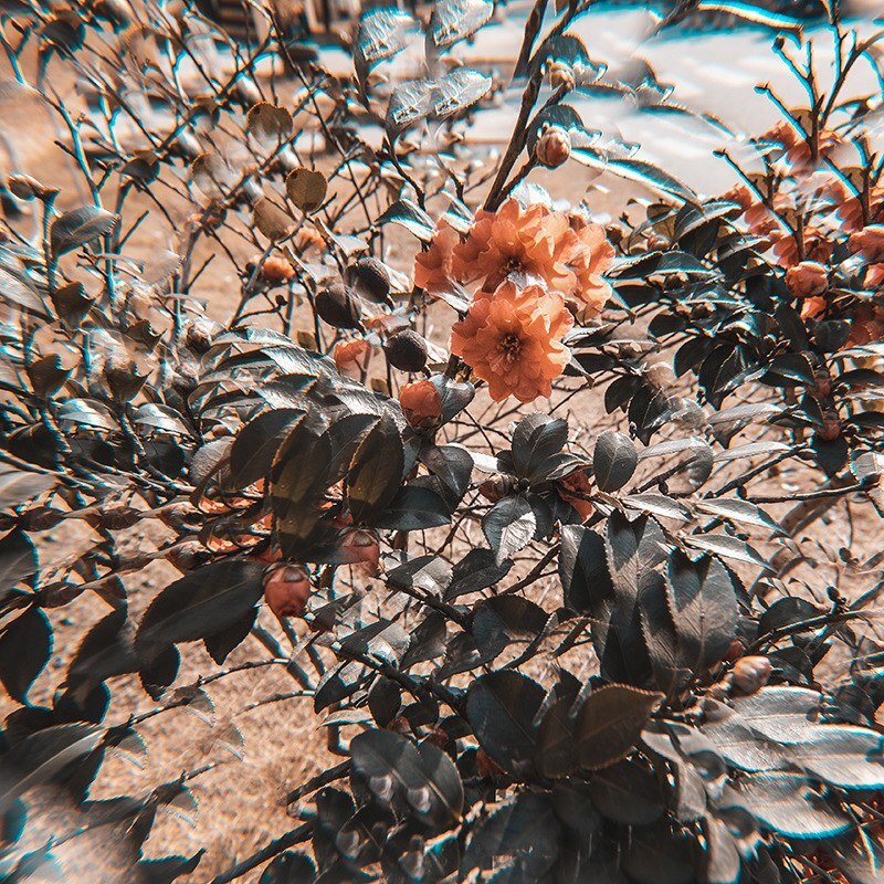 Camera Filter,77Mm Caleidoscoop Prisma Camera Glas Filter/Macro Filter Zonnekap Voor Onderwerpen Slr Camera