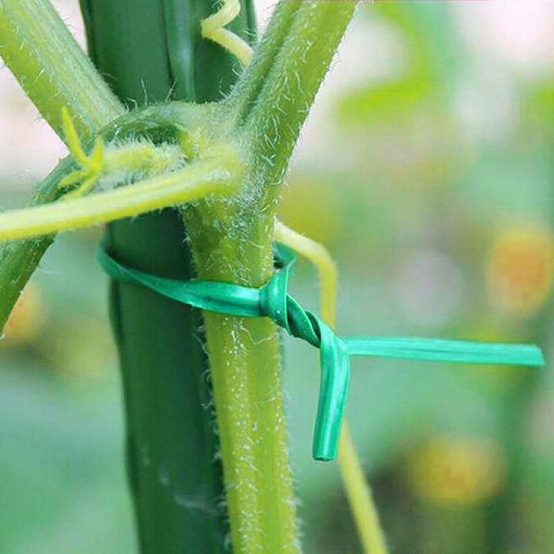 100 Uds., planta de amarre trenzado, alambre verde resistente para jardinería, Cable reutilizable, planta, bridas, flor, Rama, Clip de fijación