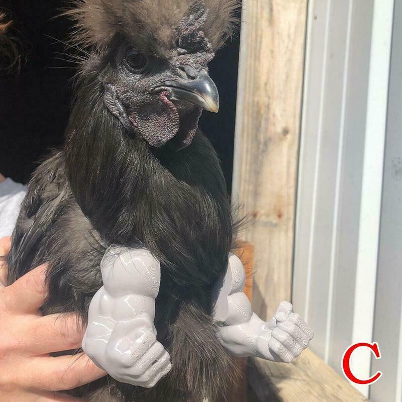 Bras de poulet musclé, Gag, bras de poulet à porter,