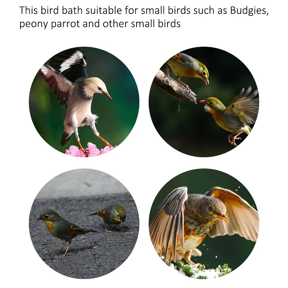 Vogel Spielzeug Papagei Badewanne Beste Für Kleine Vogel Und Kleine Papagei Schlecht Reinigung Liefert