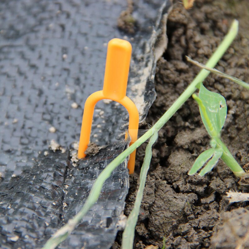 Plastic Plant Clips Tuin Voor Bevestiging Bevestiging Armatuur Klem Aardbei Vork Plant Ondersteuning Tuingereedschap