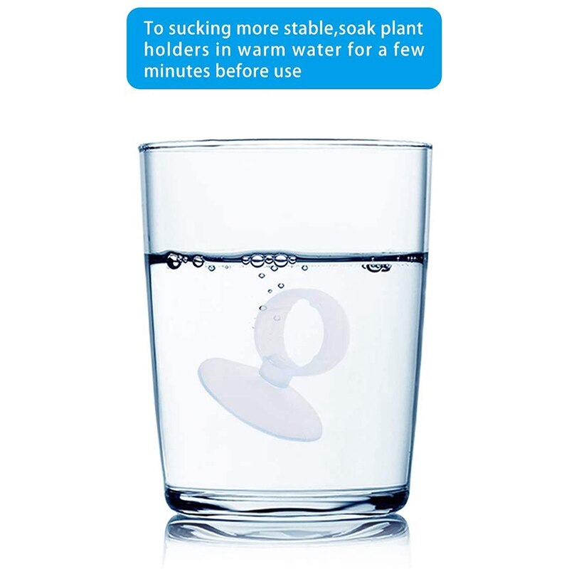 20 Stck Luft Pflanze Halfter, blumentopf Tillandsia Halfter Luft Pflanze Aufhänger mit Saugnapf für Hängen (Pflanzen Nicht Enthalten)